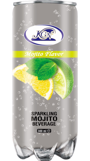 KGN Mojito 300ml x 24