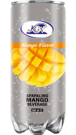 KGN Mango 300ml x 24